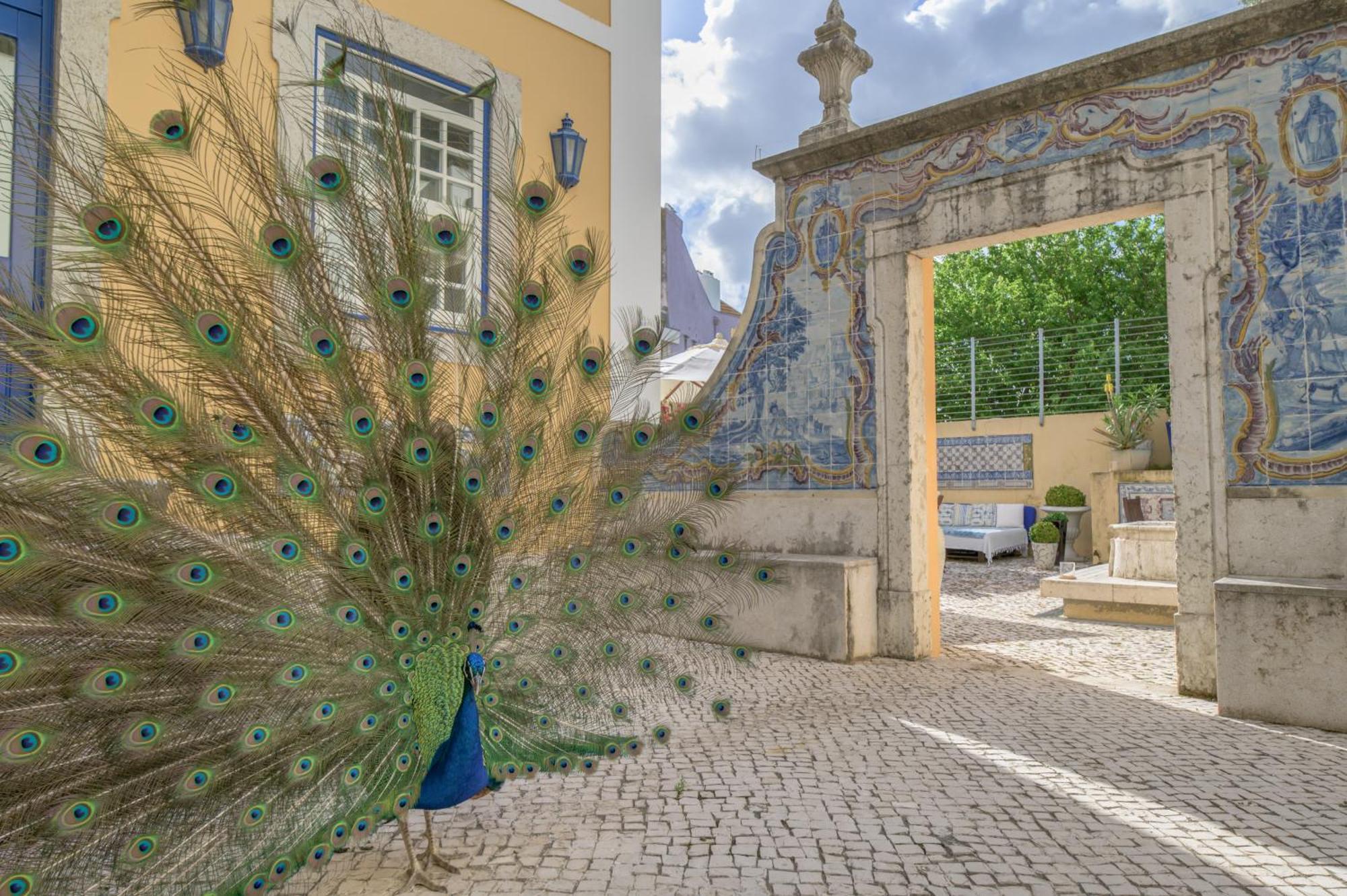 Solar Do Castelo - Lisbon Heritage Collection - Alfama Buitenkant foto